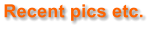 Recent pics etc.