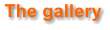 The gallery